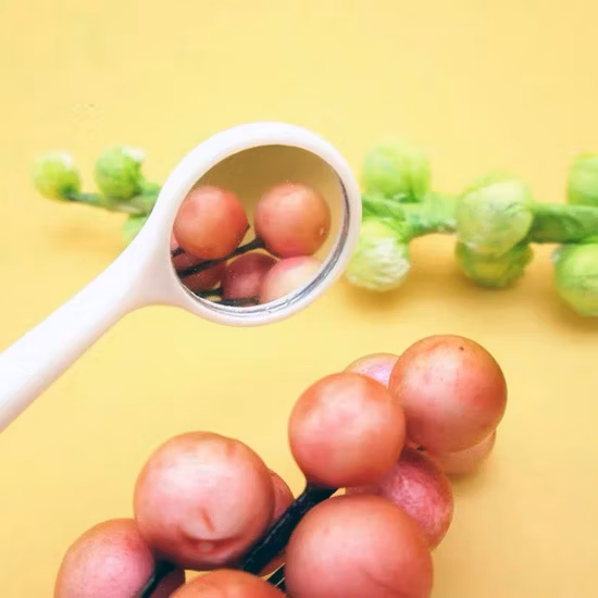 Factory Wholesale Disposable Intra Oral Teeth Instruments Dental Mouth Mirror