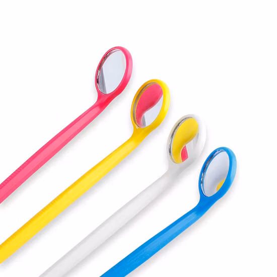 Factory Wholesale Disposable Intra Oral Teeth Instruments Dental Mouth Mirror